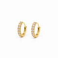 Zircon-Studded Gold Hoops (18K Gold-Plated over medical-implant grade ASTM F136 titanium)